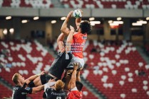 竞彩网入口-性价比之王！年薪321万尚帕尼爆发，近4战场均22+8，投篮命中率超50%