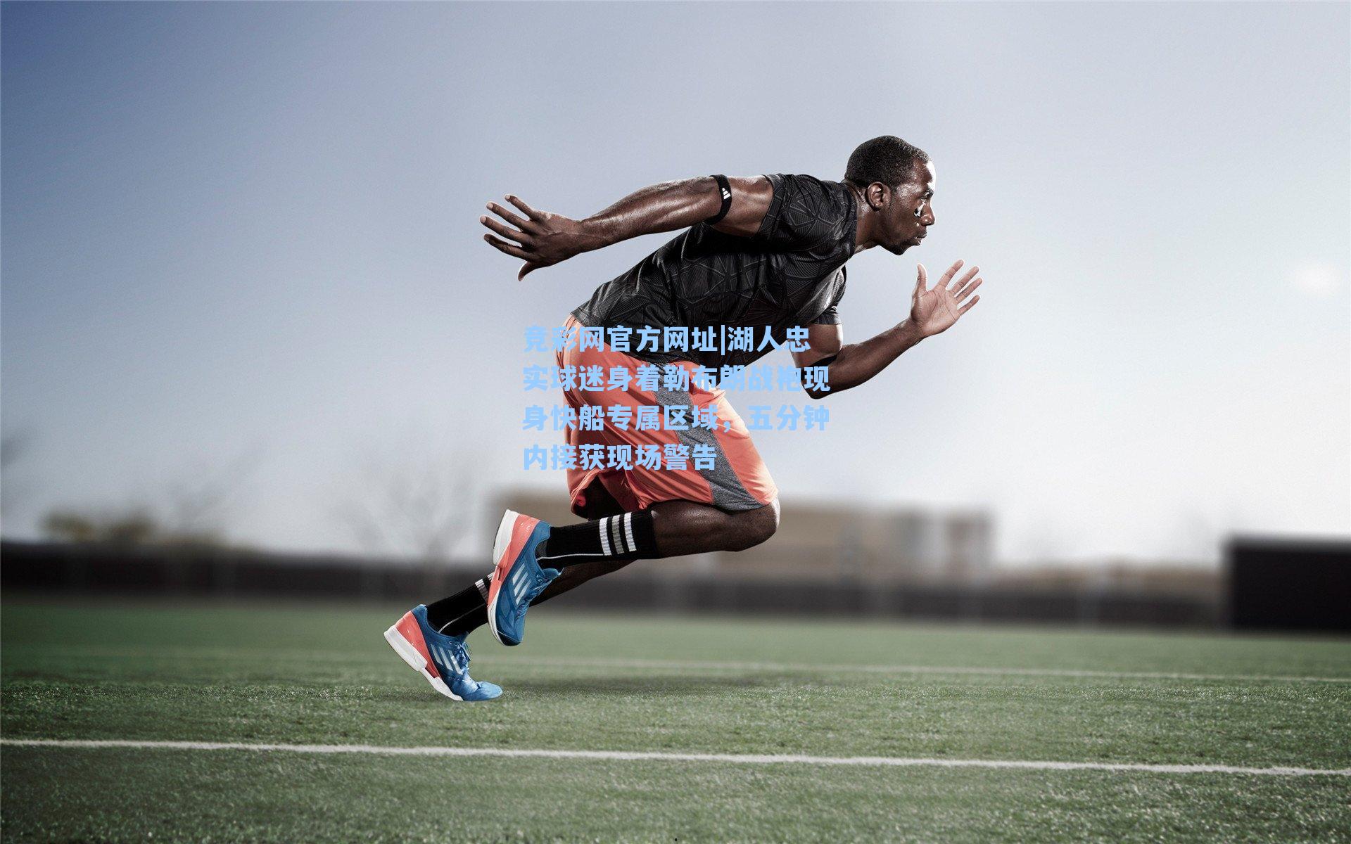 湖人忠实球迷身着勒布朗战袍现身快船专属区域,五分钟内接获现场警告